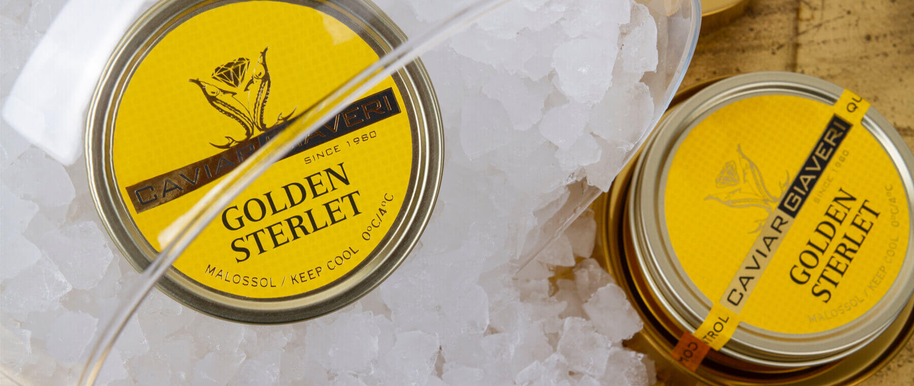 Golden Sterlet Caviar - Caviar Giaveri