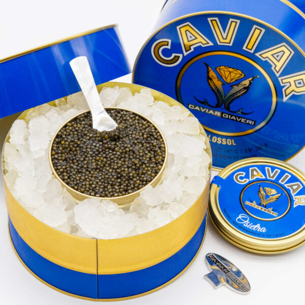 Confezione regalo nel blu dipinto di blu caviale Osietra Caviar Giaveri