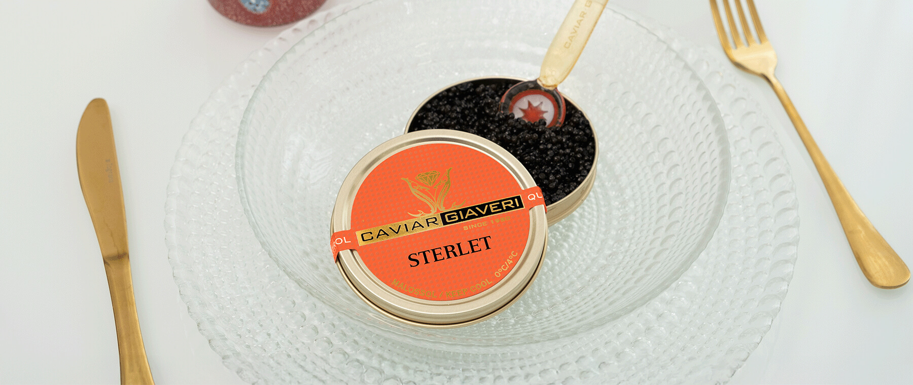 Sterlet Caviar Giaveri Galleria Prodotto